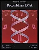 Recombinant DNA